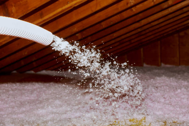 Best Insulation for Specific Applications in Black Forest, CO