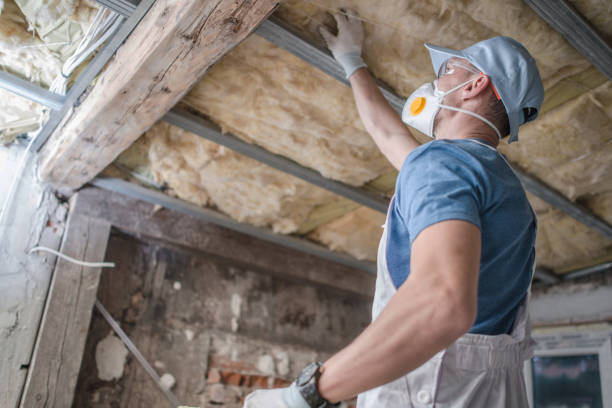 Types of Insulation We Offer in Black Forest, CO