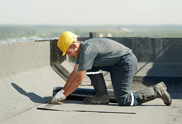 Best Geographic-Specific Insulation Services in Black Forest, CO