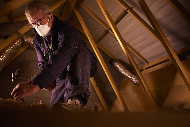 Best Residential Insulation in Black Forest, CO