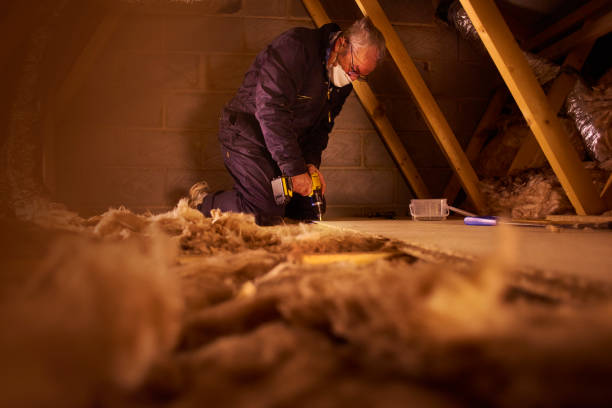 Best Specialized Insulation Services in Black Forest, CO